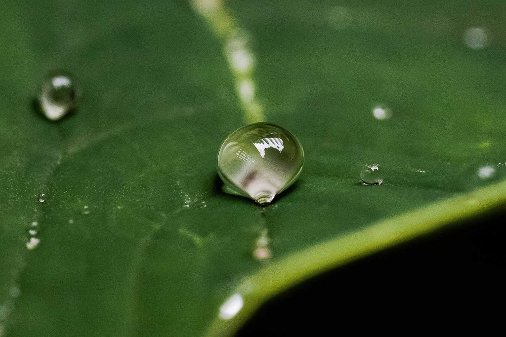estetica-freedom-padova-gocce-di-bellessere-rubrica