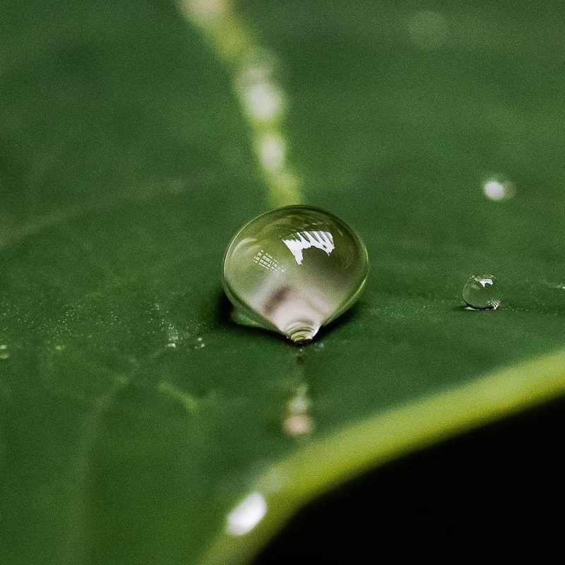 estetica-freedom-padova-gocce-di-bellessere-rubrica